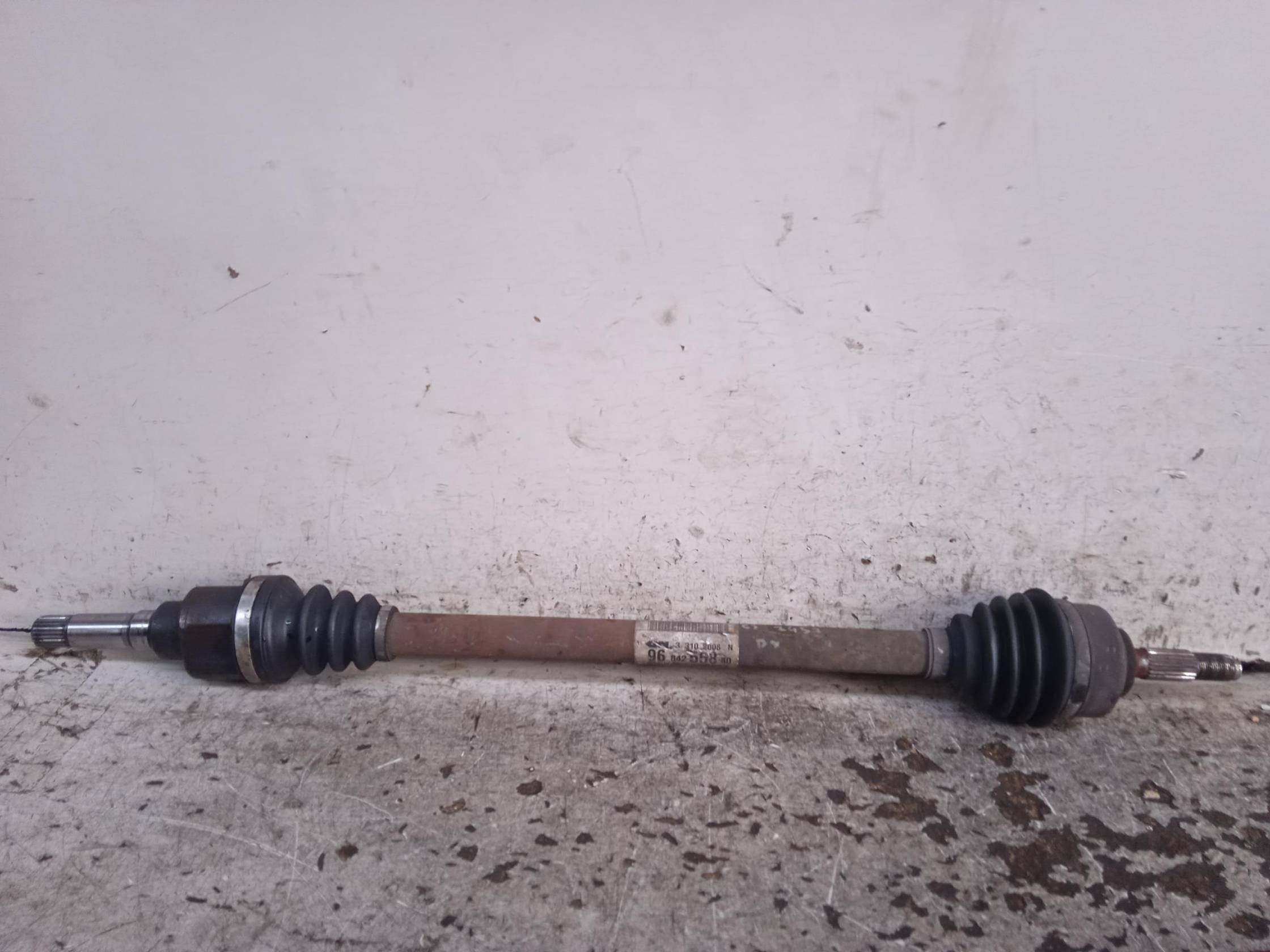 Semialbero ant. compl. dx.